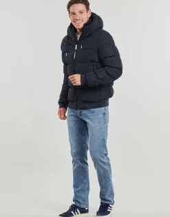 Superdry - BOMBER SPORTS