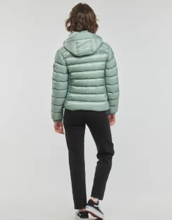 New Superdry - HOODED FUJI PADDED JACKET Vert