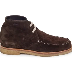 Swamp - POLACCHINO SU