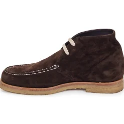 Swamp - POLACCHINO SU