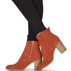 New Sweet Lemon - BRUMA Marron