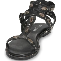 Sweet Lemon - MOLIMPIA Noir