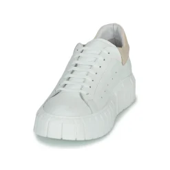 Discount Sweet Lemon - PLANTO