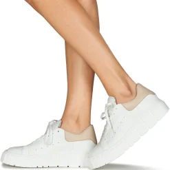 Discount Sweet Lemon - PLANTO