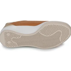 TBS - BRANDIE Orange Sale