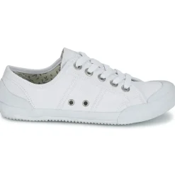 TBS - OPIACE Blanc Online