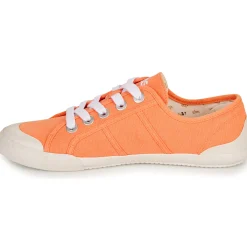 TBS - OPIACE Corail New