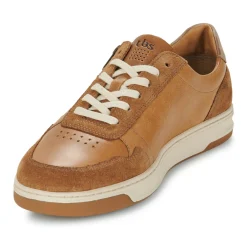 TBS - THEOZIP Marron Discount