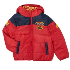 TEAM HEROES  - DOUDOUNE HARRY POTTER Multicolore Hot