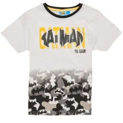 Hot TEAM HEROES  - ENSEMBLE BATMAN Multicolore