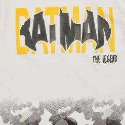 Hot TEAM HEROES  - ENSEMBLE BATMAN Multicolore