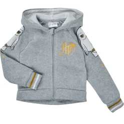 Clearance TEAM HEROES  - ENSEMBLE HARRY POTTER Gris