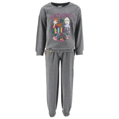 TEAM HEROES  - ENSEMBLE JOGGING REINES DES NEIGES