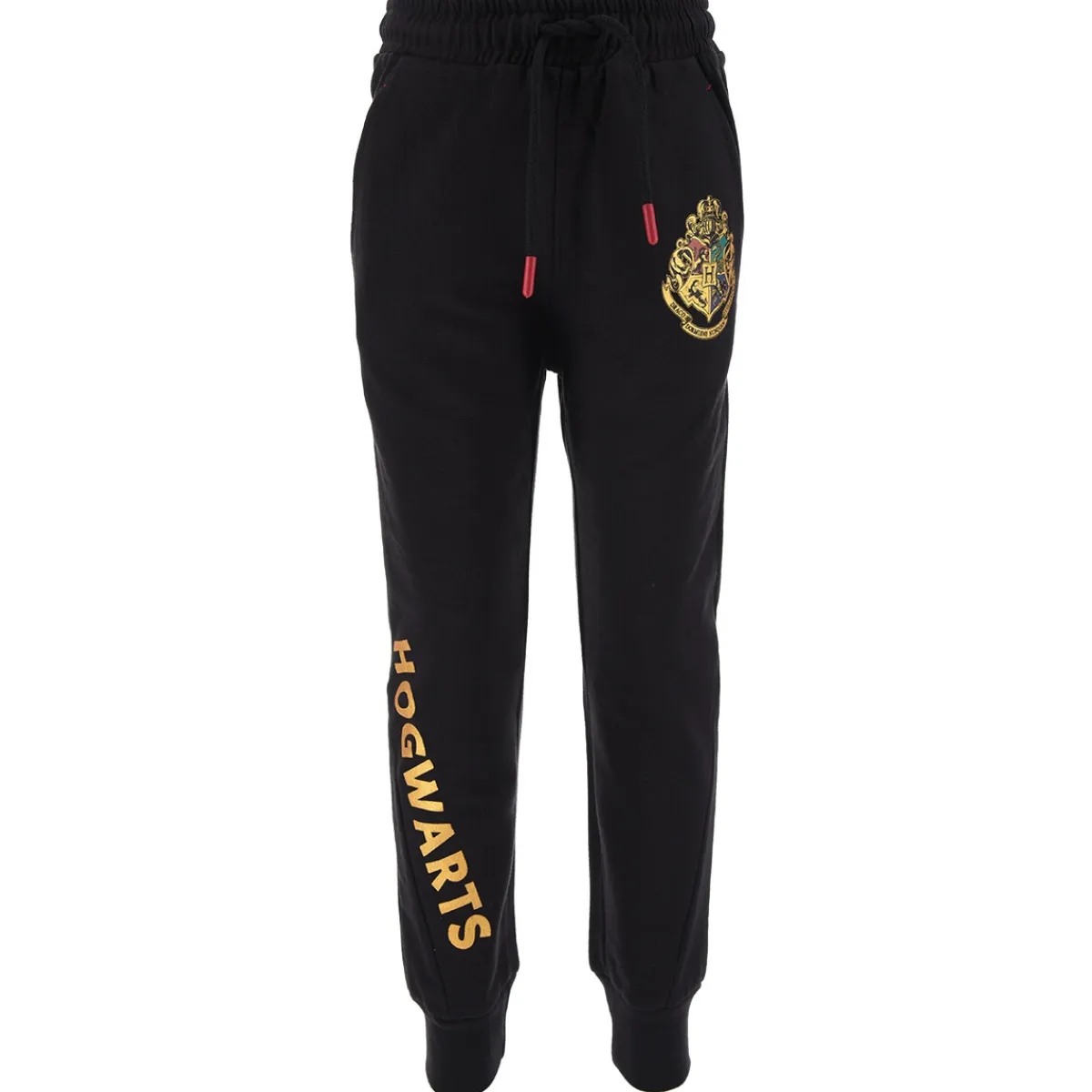 TEAM HEROES - JOGGING HARRY POTTER Noir Discount