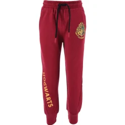 Outlet TEAM HEROES  - JOGGING HARRY POTTER Violet