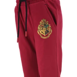 Outlet TEAM HEROES - JOGGING HARRY POTTER Violet