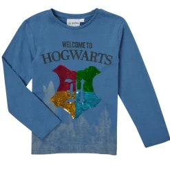 TEAM HEROES  - T-SHIRT HARRY POTTER