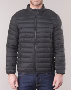 Hot Teddy Smith - BLIGHT Noir