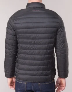 Hot Teddy Smith - BLIGHT Noir