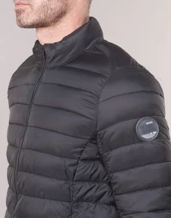 Hot Teddy Smith - BLIGHT Noir