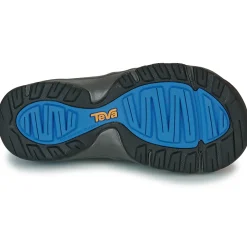 Teva - MANATEE