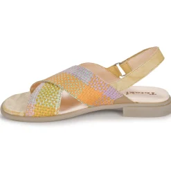 Think - KAMAA Multicolore New