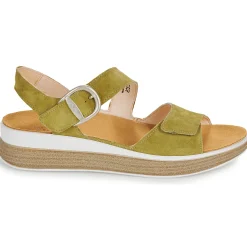 New Think - MEGGIE Vert