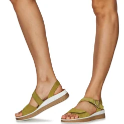 New Think - MEGGIE Vert