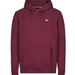 Tommy Jeans - TJM REG BADGE HOODIE EXT