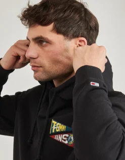 Tommy Jeans - TJM REG UNI FLAG TIGER HOODIE