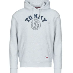 Best Tommy Jeans - TJM REG WASHED PREP EXPLR HOODIE Gris