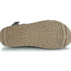 Hot UGG - GOLDENSTAR CLOG Taupe