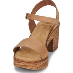 New Ulanka - MCTIDA Cognac