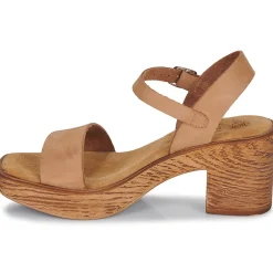 New Ulanka - MCTIDA Cognac