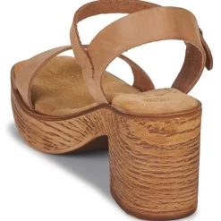 New Ulanka - MCTIDA Cognac