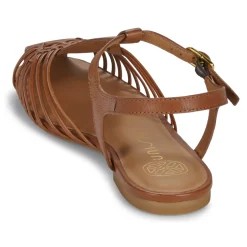 Unisa - BABIC Camel Best