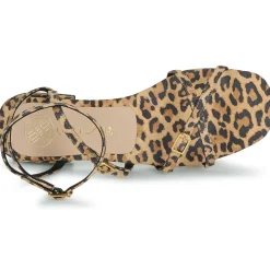 Unisa - CHISUN Leopard New