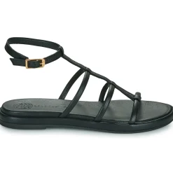 Sale Unisa - CLISA Noir