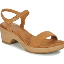 Unisa - IRITA Camel Best