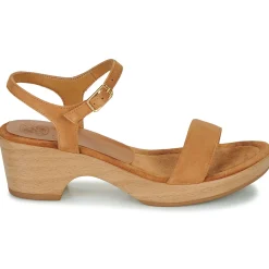 Unisa - IRITA Camel Best