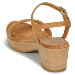 Unisa - IRITA Camel Best