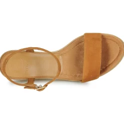 Unisa - RITA Camel Clearance