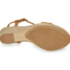 Unisa - RITA Camel Clearance