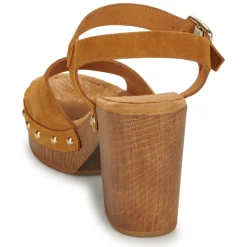 Unisa - TACO Camel Discount