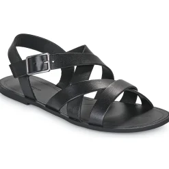 Vagabond Shoemakers - TIA 2.0