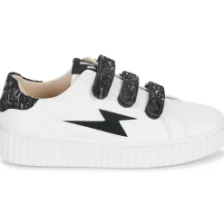 Vanessa Wu - INGRID Online