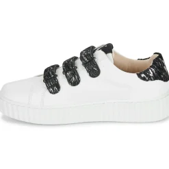 Vanessa Wu - INGRID Online