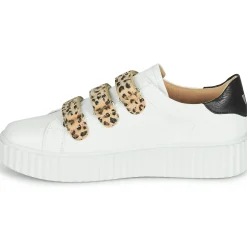 Vanessa Wu - MAGGIE Outlet