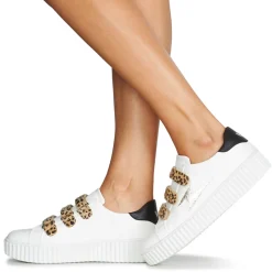 Vanessa Wu - MAGGIE Outlet