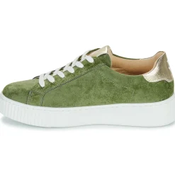 Best Vanessa Wu - NOELIE